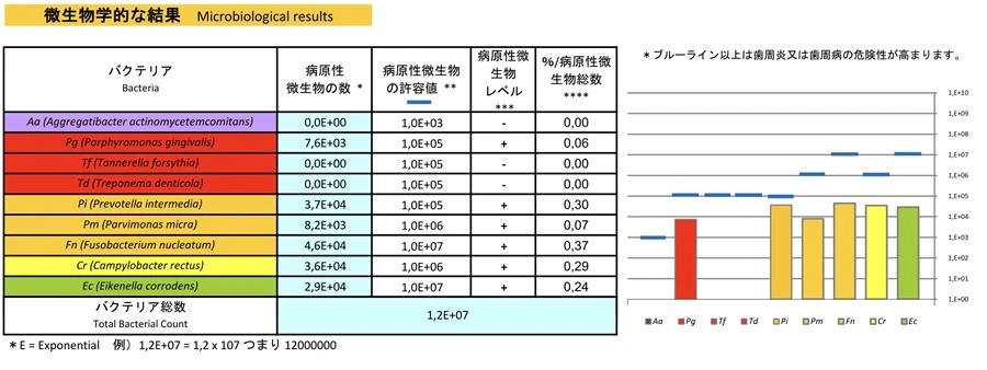 歯周病の原因菌を調べた細菌検査の結果