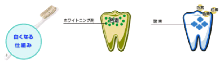 白くなる仕組み