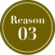 reason03